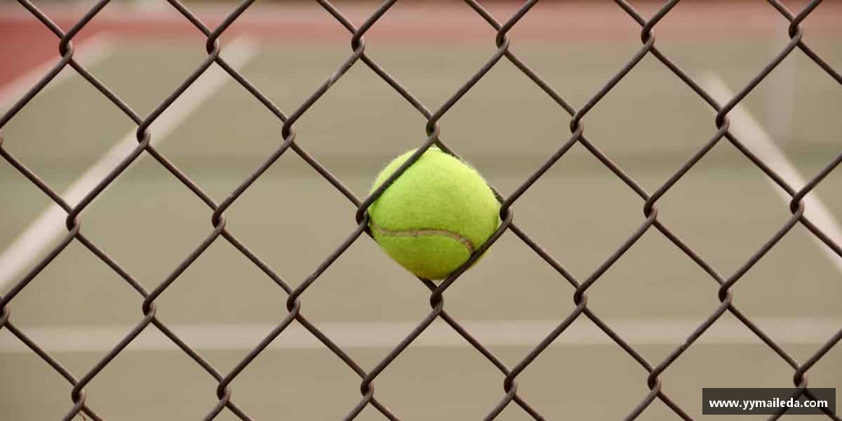 关于伟德国际唯一官网入口